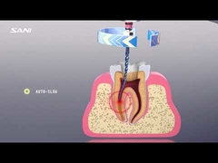 Portable Dental Endo Motor White Endo Handpiece With Apex Locator