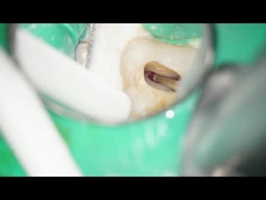 Het tand Tandgebruik van RA Burs Tungsten Carbide Burs Met lage snelheid